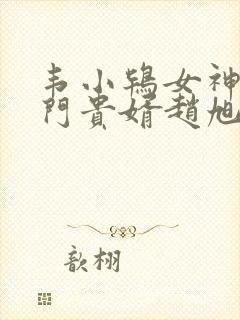 韦小鸨女神的上门贵婿赵旭