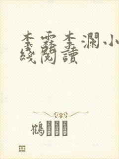 李霖李澜小说在线阅读