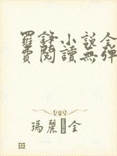 罗铮小说全文免费阅读无弹窗