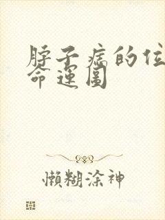 脖子痣的位置与命运图