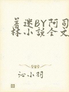 着迷BY阿司匹林小说全文免费阅读