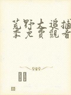 荒野大追捕第一季免费观看