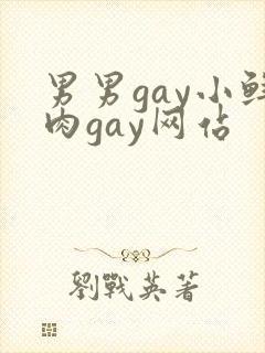 男男gay小鲜肉gay网站