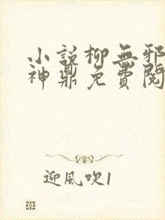 小说柳无邪吞天神鼎免费阅读