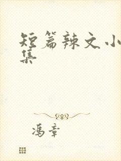 短篇辣文小说合集