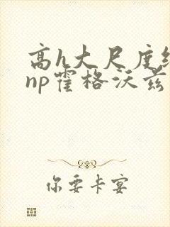 高h大尺度纯肉np霍格沃兹