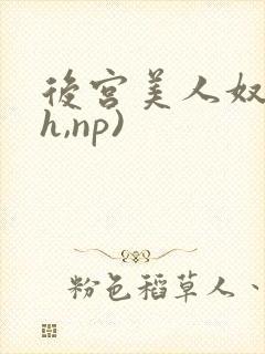 后宫美人奴(高h,np)