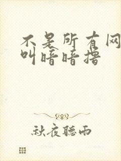 不是所有网站都叫暗暗撸