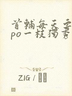 首辅每天要不够po一枝独秀全文