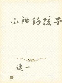 小神的孩子们封面