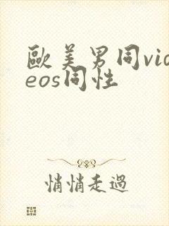 欧美男同videos同性