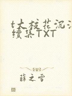 t大校花沉浮录续集TXT封面