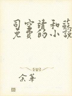 司空靖和苏月汐免费的小说笔趣阁