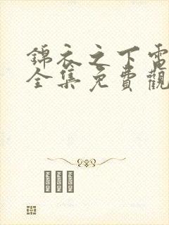 锦衣之下电视剧全集免费观看高清