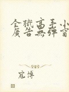 全职高手小说无广告无弹窗