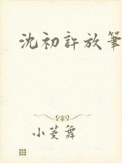 沈初许放笔趣阁封面