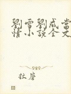 刘雪刘成当代爱情小说全文免费笔趣阁