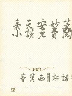 秦天安妙菱修仙小说免费阅读正版封面