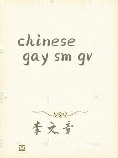 chinese gay sm gv