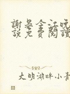 谢晏今江晚音小说免费阅读最新章节封面