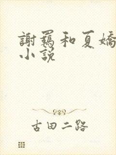 谢羁和夏娇娇的小说