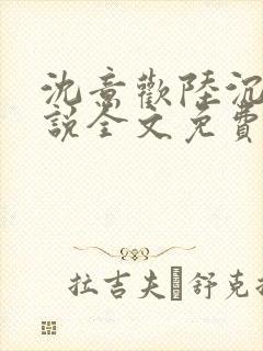 沈意欢陆沉舟小说全文免费下载