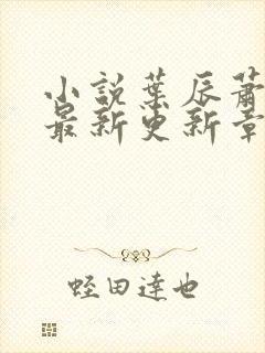 小说叶辰萧初然最新更新章节