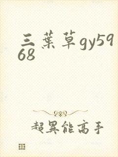 三叶草gy5968封面