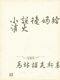 小说后妈给我消消火封面