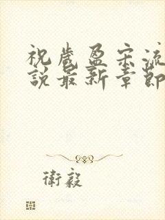 祝岁盈宋流景小说最新章节更新时间