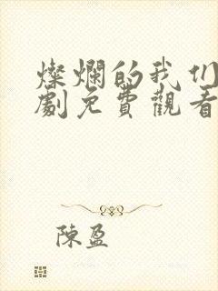 灿烂的我们电视剧免费观看全集封面