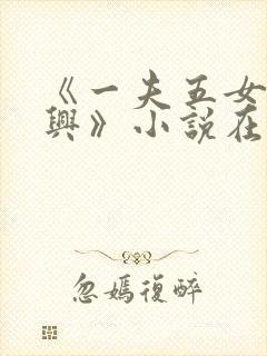 《一夫五女胡本兴》小说在线阅读