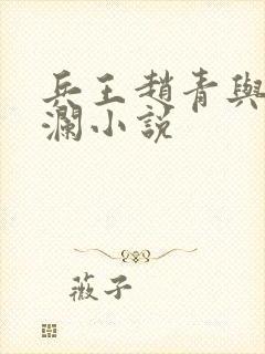 兵王赵青与林安澜小说