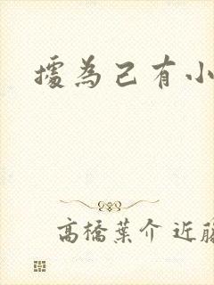 据为己有小说封面