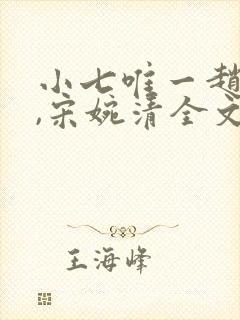 小七唯一赵振国,宋婉清全文阅读免费