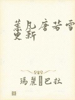 叶凡唐若雪王婿更新封面