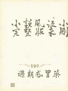 小说风流小傻医完整版未删减小说