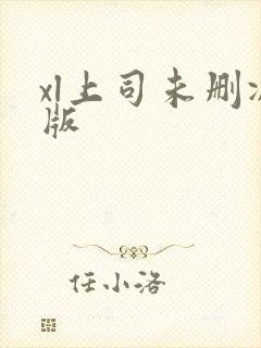 xl上司未删减版