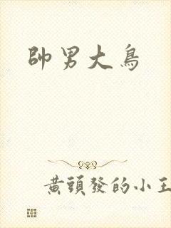 帅男大鸟