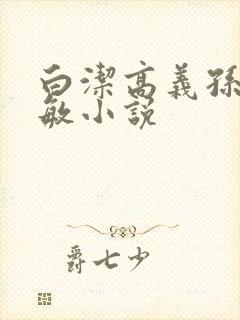 白洁高义孙倩张敏小说