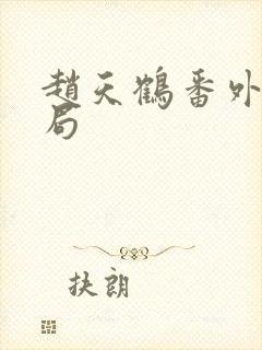 赵天鹤番外大结局