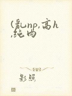 (乱np,高h,纯肉
