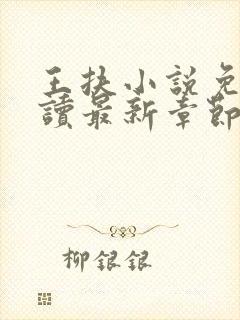 王扶小说免费阅读最新章节无弹窗