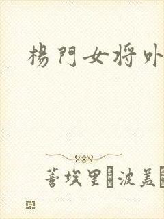 杨门女将外传