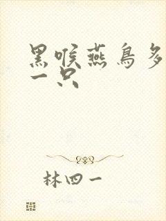 黑喉燕鸟多少钱一只