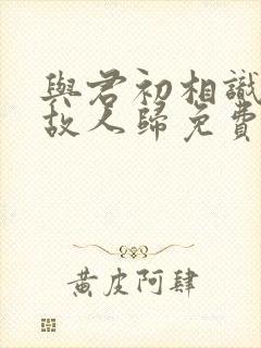 与君初相识恰似故人归免费观看完整版