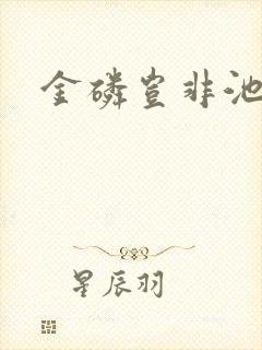 金磷岂非池中物封面