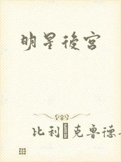 明星后宫