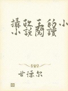 摄政王的小闲妻小说阅读封面