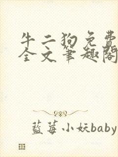 牛二狗免费阅读全文笔趣阁封面